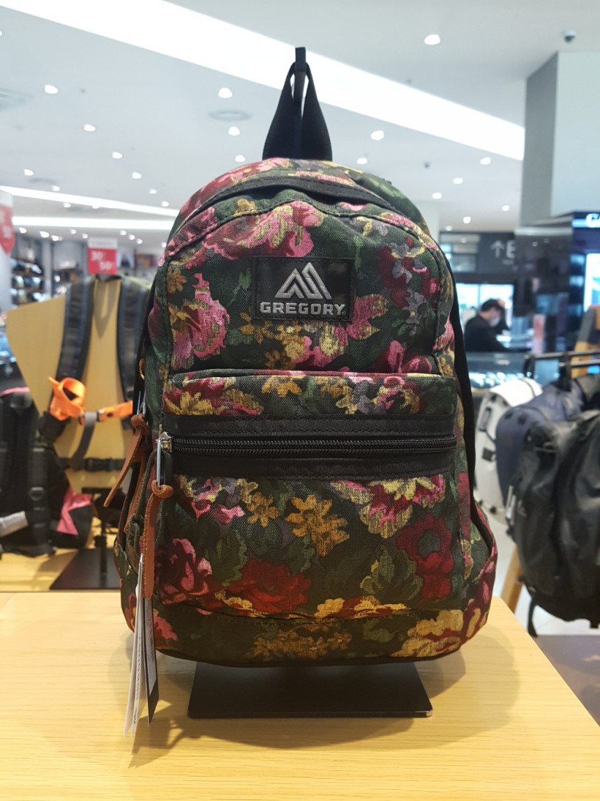 NNYY韩代 GREGORY格里高利 EASY DAY XS号双肩背包  09J12302