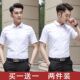 青年黑色休闲潮流短袖 短袖 衬衣 修身 免熨纯色职业正装 白衬衫 男夏季