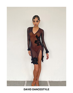 David舞服拉丁舞女士长袖 网纱艺考服开衩睫毛连衣裙高级质感伦巴