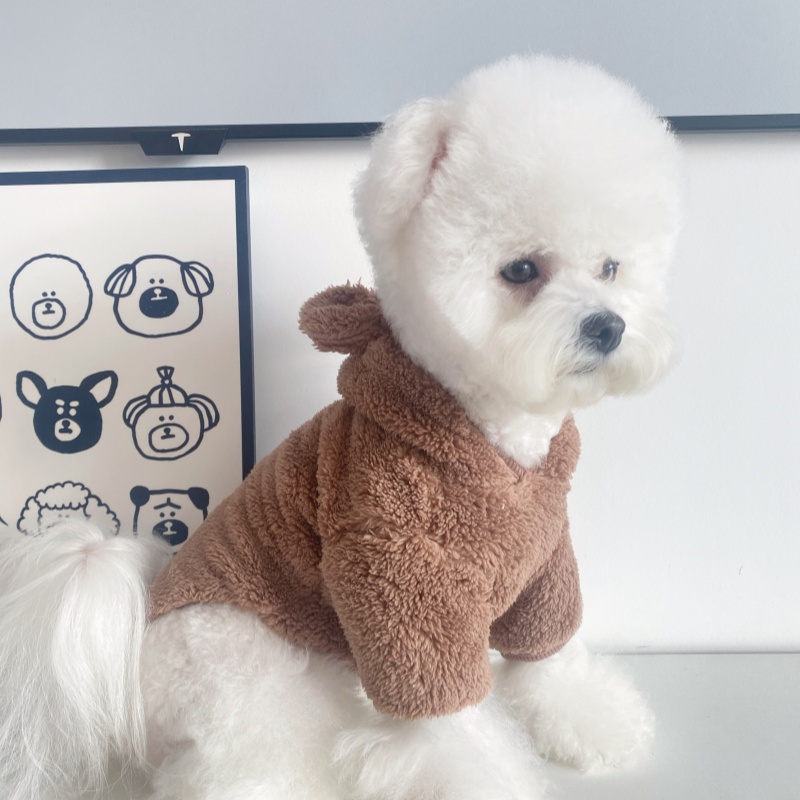 新款宠物衣服狗狗猫秋冬抓绒两腿带帽套头棉衣泰迪金毛柯基中小型