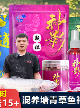 神影窝料逍遥青二代颗粒大物青鱼草鱼专用钓鱼饵料鱼食官方旗舰店