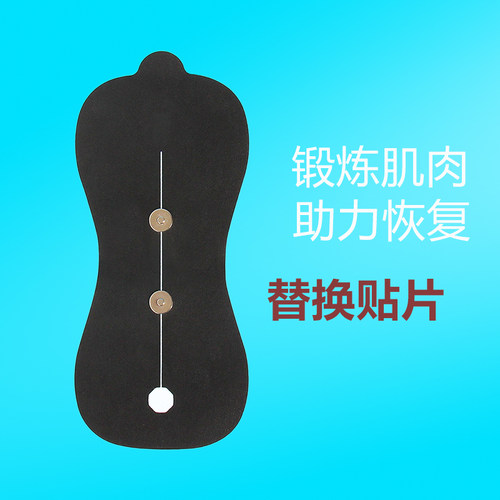 北建专用替换装电极片