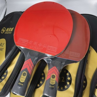 迪克威专业级亏本清仓处理12星碳素中考训练直拍横拍高弹乒乓球拍