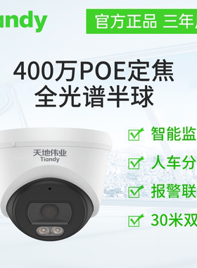 天地伟业400万定焦全光谱半球TC-C54XN 配置:I3W/E