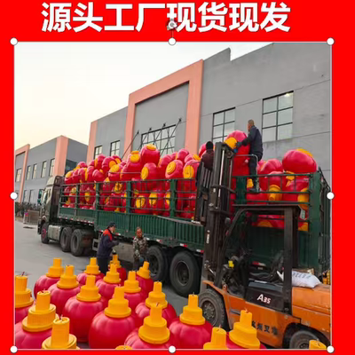 中国结路灯杆灯笼户外装饰防水节日氛围灯杆亮化塑料灯笼中国结