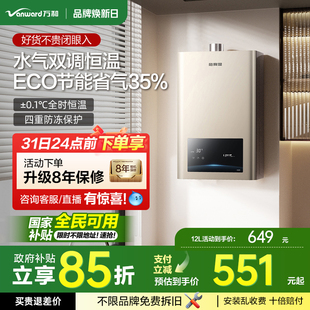 3L节能省气防冻恒温燃气热水器BE1 万和梅赛思天然气12 政府补贴