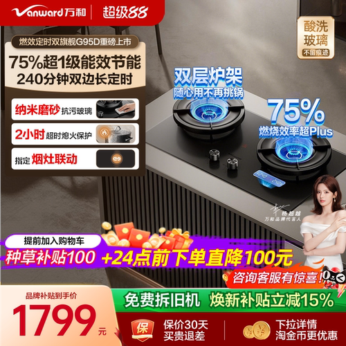 [75%热效之巅]万和双定时燃气灶煤气灶家用双灶天然气无痕G95D
