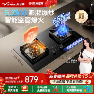 [品牌补贴]万和B10Pro防干烧燃气灶家用煤气炉天然气台式灶具嵌入