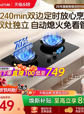 [旗舰新品]万和定时燃气灶天然气煤气灶家用双灶灶台式炉灶B9DS