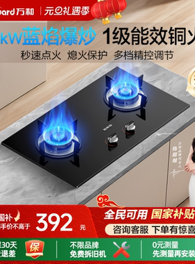 [政府补贴]万和梅赛思燃气灶煤气家用双灶天然气液化气台嵌灶具X1