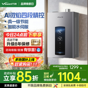 万和智能水伺服家用恒温洗澡天然气燃气热水器ME5WPRO 政府补贴