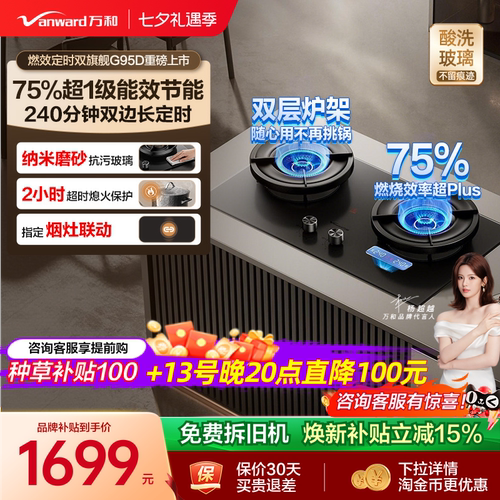 [75%热效之巅]万和双定时燃气灶煤气灶家用双灶天然气无痕G95D