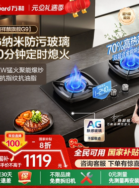 [政府补贴]万和猛火燃气灶家用双灶定时天然气台嵌两用灶具炉灶G9