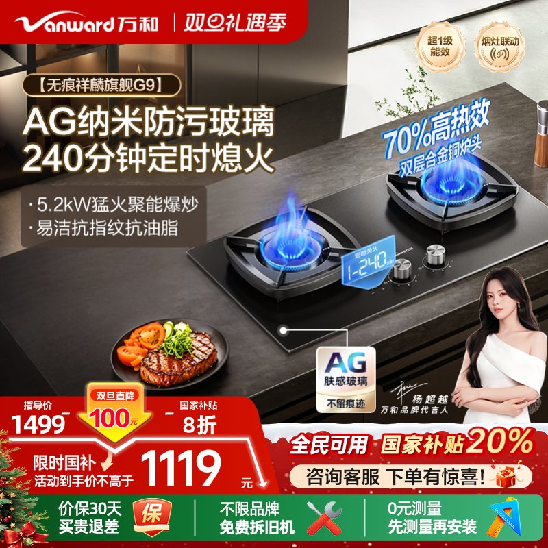 [政府补贴]万和猛火燃气灶家用双灶定时天然气台嵌两用灶具炉灶G9