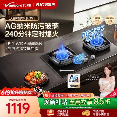 [焕新补贴]万和天然气燃气灶煤气灶家用双灶定时台嵌两用灶台G9