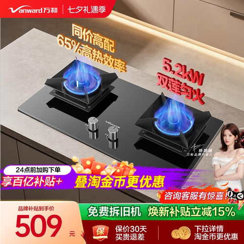 [焕新补贴]万和燃气灶煤气双灶天然气液化气台嵌入式家用炉具C5