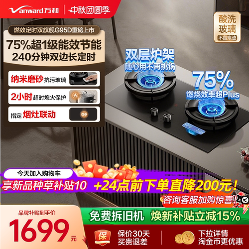 [75%热效之巅]万和双定时燃气灶煤气灶家用双灶天然气无痕G95D