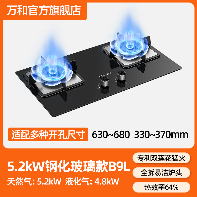 Vanward/万和 B9L50