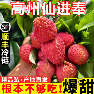 水果糯米桂糍味整箱順豐 2025仙進(jìn)奉荔枝廣東茂名高州新鮮現(xiàn)摘當(dāng)季