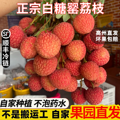 白糖罂荔枝广东茂名高州新鲜摘当季水果桂糯米妃子味糍笑整箱顺丰