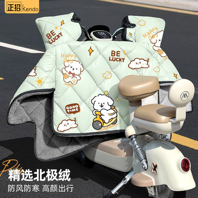 电动车挡风被冬季加绒加厚防风罩