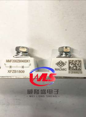 MMF200ZB040DK1C 全新原装 MACMIC（ 宏微）功率二极管模块 单向