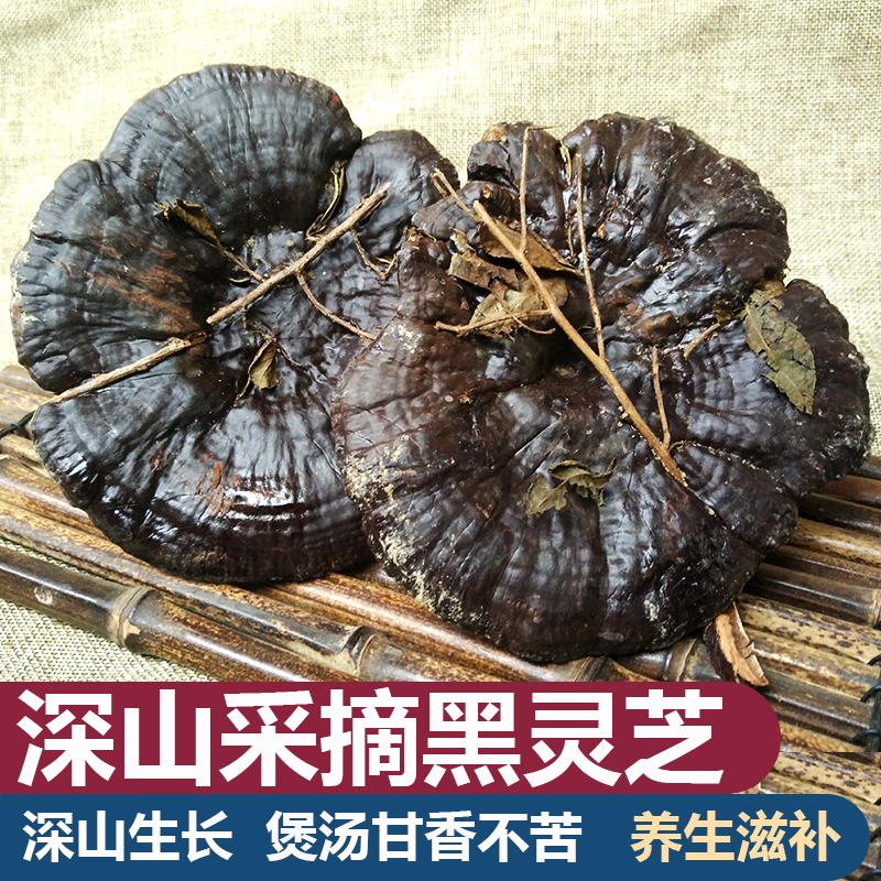 灵芝半野生灵芝粤北深山采摘天然野生整枝林芝正品黑灵芝片500g