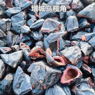 新货上市增城特产西山黑榄左尾乌榄 乌榄角干 淡盐 榄角/油榄角