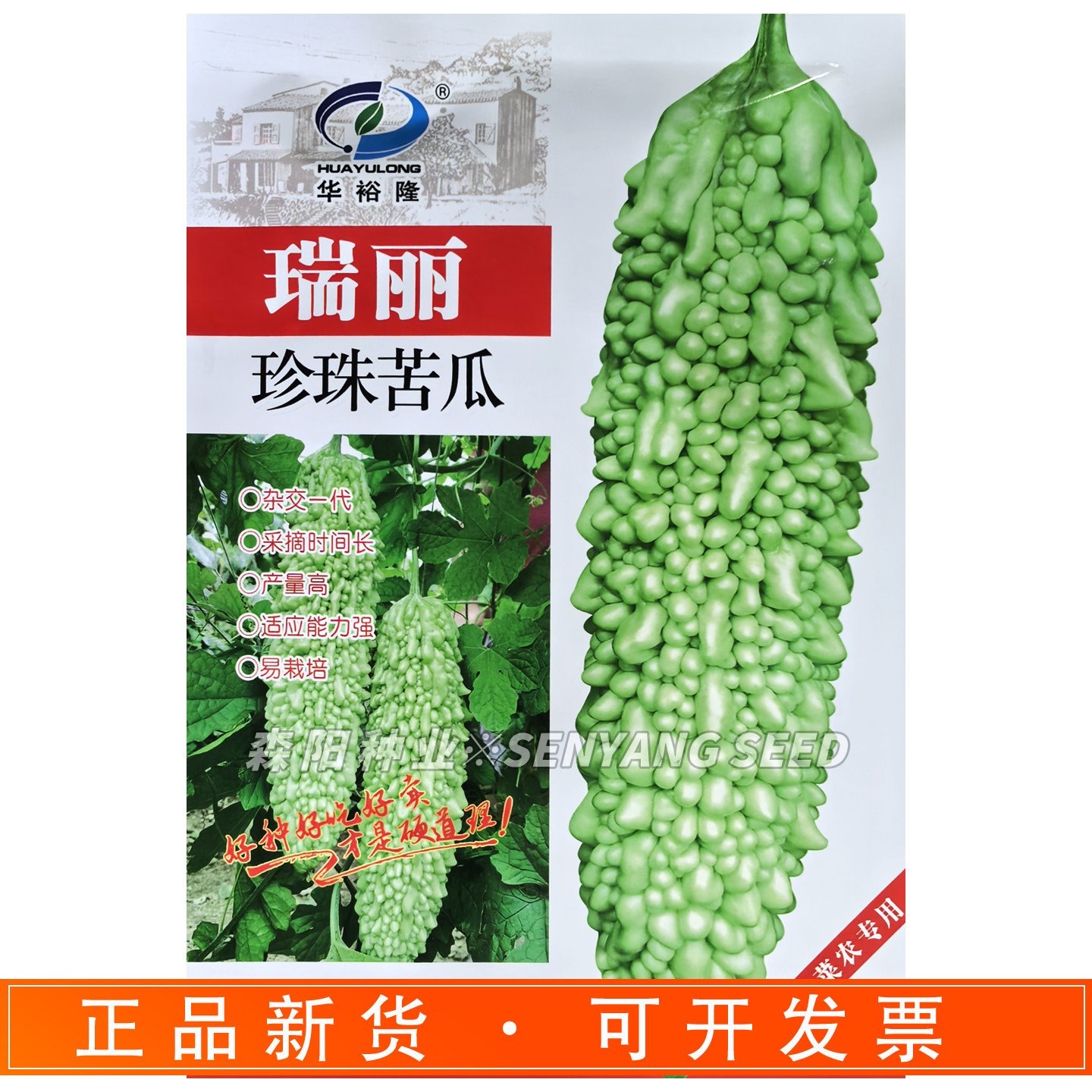 瑞丽珍珠苦瓜种子中早熟果肉淡绿色春秋季种南方疙瘩微苦苦瓜种籽