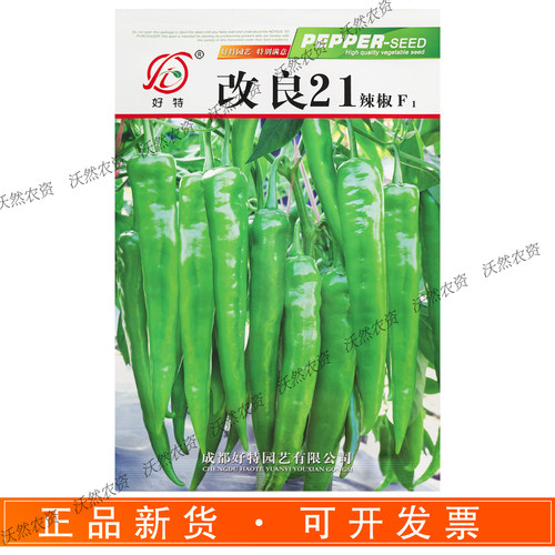 好特改良21早熟薄皮羊角椒种子
