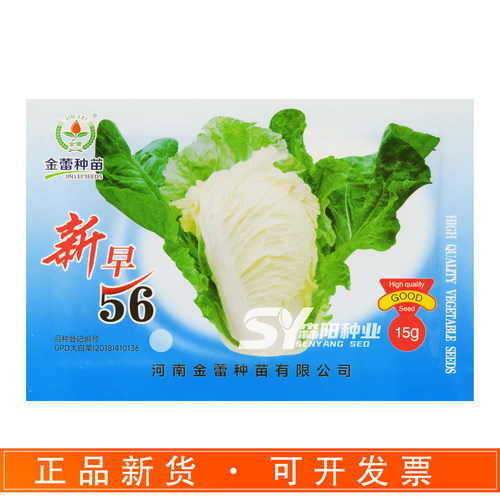 新科新早56白菜种子杂交无毛