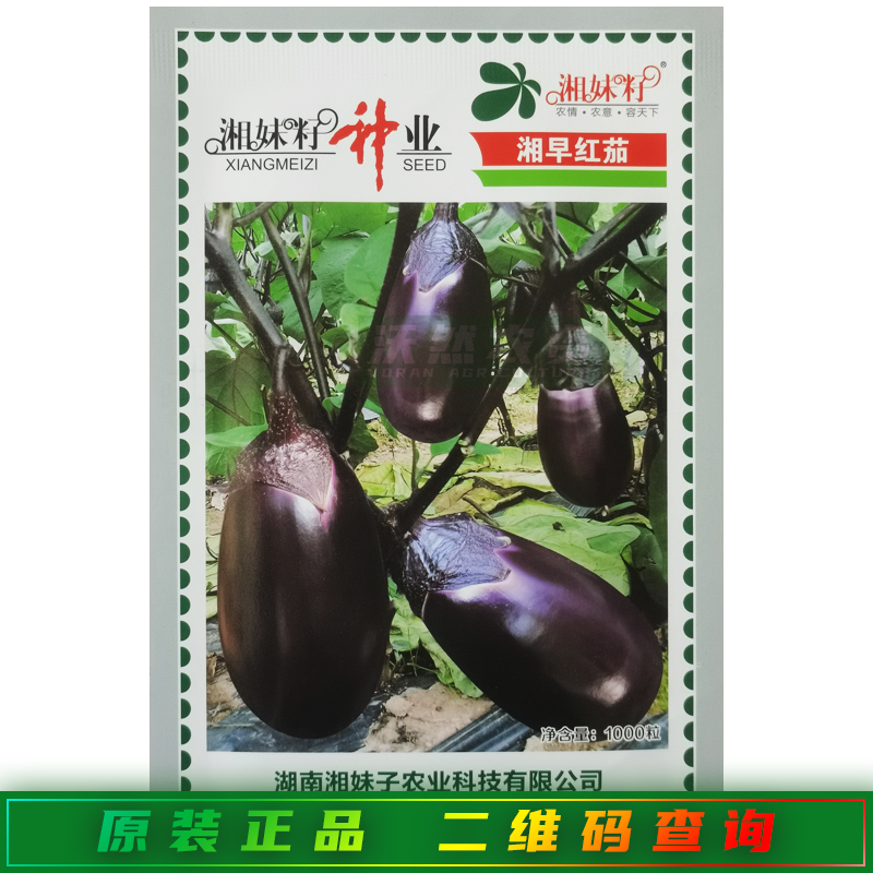 湘妹籽湘早红茄种子卵圆形紫红色