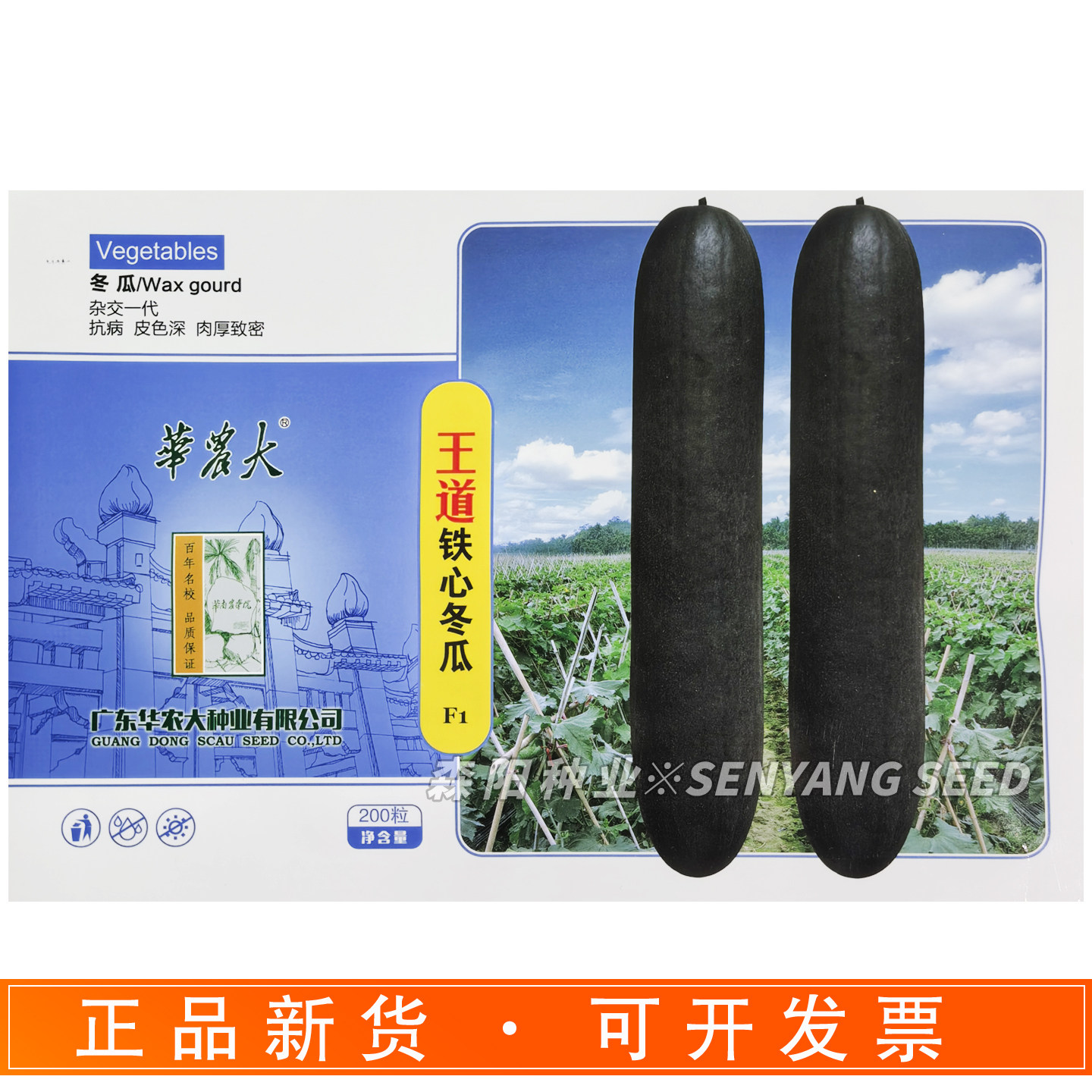 华农大王道铁心冬瓜种子高产抗逆性强长炮弹墨绿色肉厚腔小墨地龙