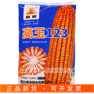 高地高玉123玉米种子国审杂交种籽红轴马齿饲料大田苞包谷K玉6号