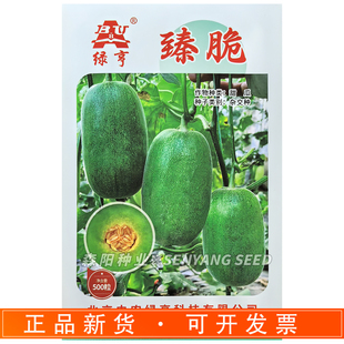 绿亨臻脆甜瓜种子早熟高品质薄皮香瓜菜瓜杂交种子四季蔬菜水果