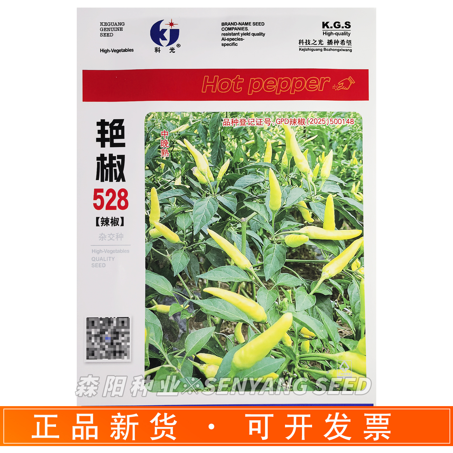 艳椒528朝天椒种子中晚熟单生