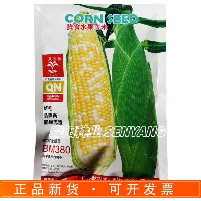 乾农金银粟鲜食脆甜无渣玉米种