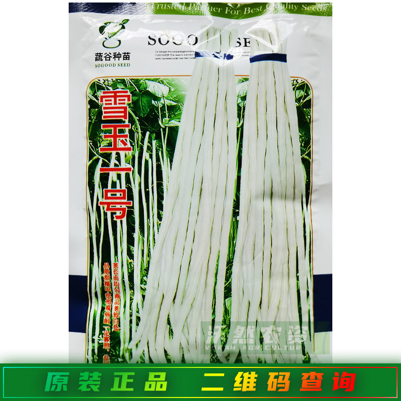 雪玉一号白豇豆种子中早熟银白色不易老化肉厚甜糯豇豆角白豆角