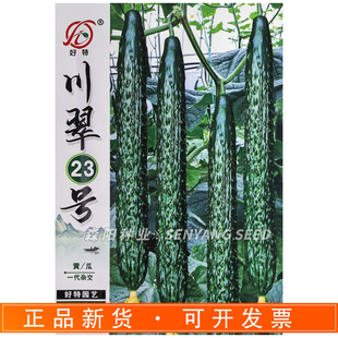 好特川翠23号黄瓜杂交种子油亮型耐高温稳产黄瓜青瓜种籽四季蔬菜