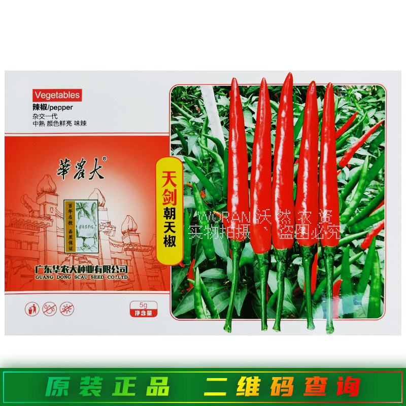 华农大天剑朝天椒种子孑中熟特辣单生小米椒鲜食辣椒种籽艳椒425