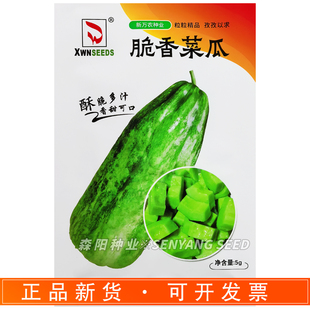 新万农脆香菜瓜种子早熟耐热香甜绿瓤酥本地沙瓜新香玉菜瓜甜瓜籽