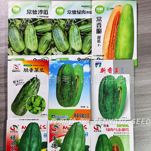 常德沙瓜农之子银田菜瓜种子儿时乡里味道南县乌金甜沙瓜籽新香玉