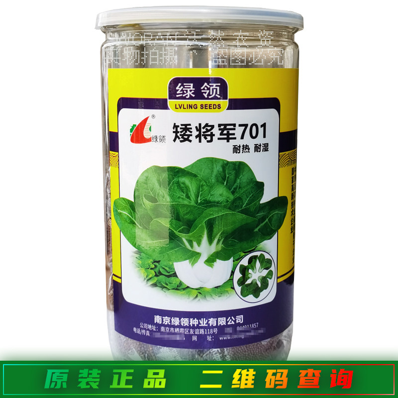 绿领矮将军701小白菜种子叶片多而绿四季矮脚黄青菜白菜种籽基地