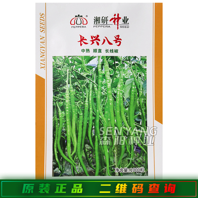 长兴八号辣椒种子籽中熟株型高大