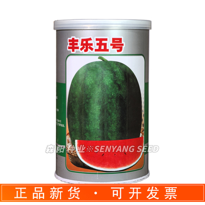 丰乐五号西瓜种子早熟超甜正品
