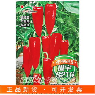 世宇S216辣椒种子中早熟高产稳产抗病粗牛角椒大青红椒种籽亮红色