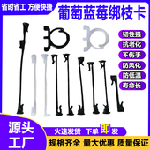 葡萄猕猴桃绑枝卡蓝莓葡萄枝条卡扣树苗枝蔓固定器绑蔓专用固定卡