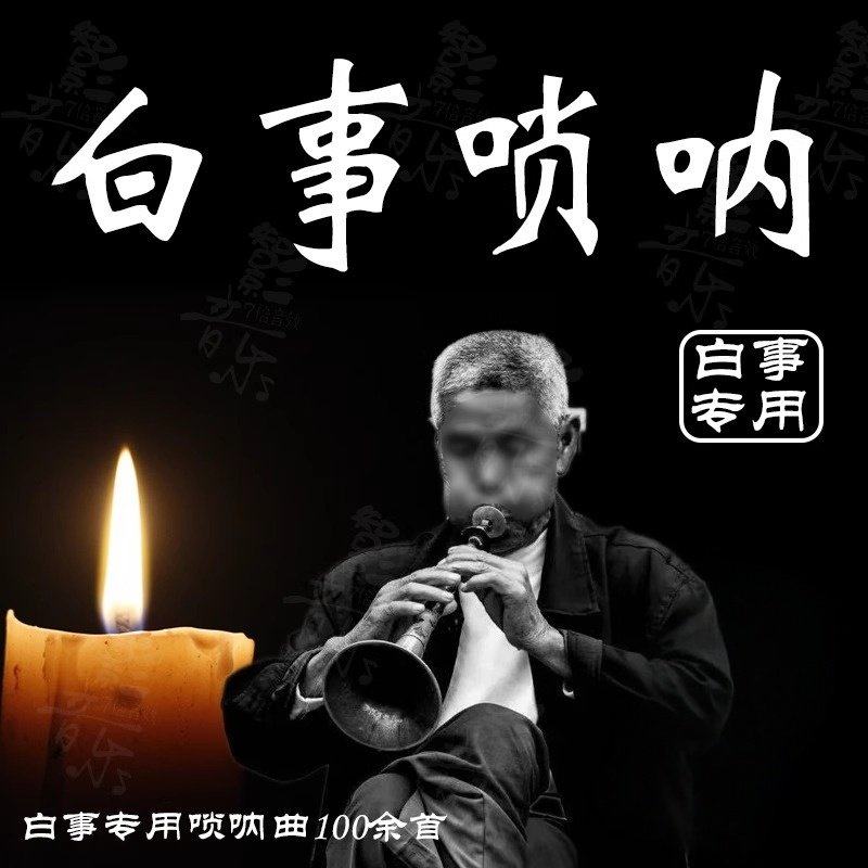 白事葬礼唢呐U盘 农村白事丧事出殡追悼会仪式悲伤唢呐曲100余首,汽车用品/电子/清洗/改装,车载音乐U盘,淘宝优惠券,粉丝福利购,淘宝优惠卷