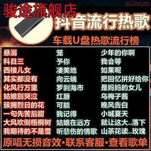 无损高音质品质车用抖音新歌曲经典 汽车载U盘2023新款 DJ音乐优盘