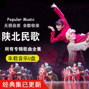 陕北民歌大全mp3乡土民族歌谣山歌卡怀旧经典老歌车载U盘340+300